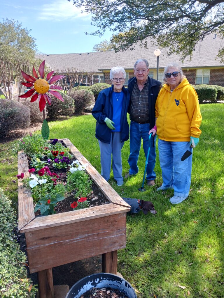 About us - Spring Planting Day