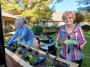 Planting Day